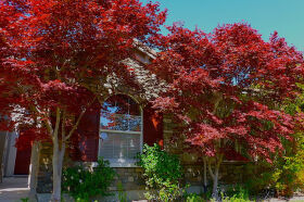 1954 Beltaine Court