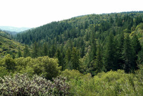 Chiles-Pope Valley Road