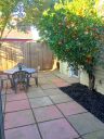 Hidden patio with citrus tree